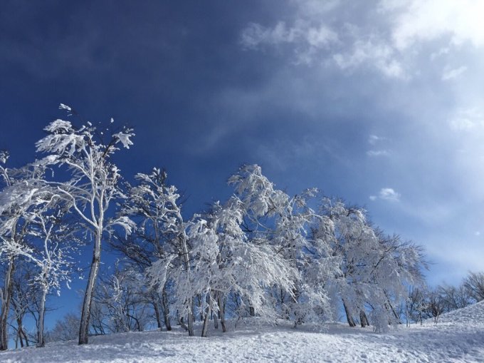 雪月花（前編）