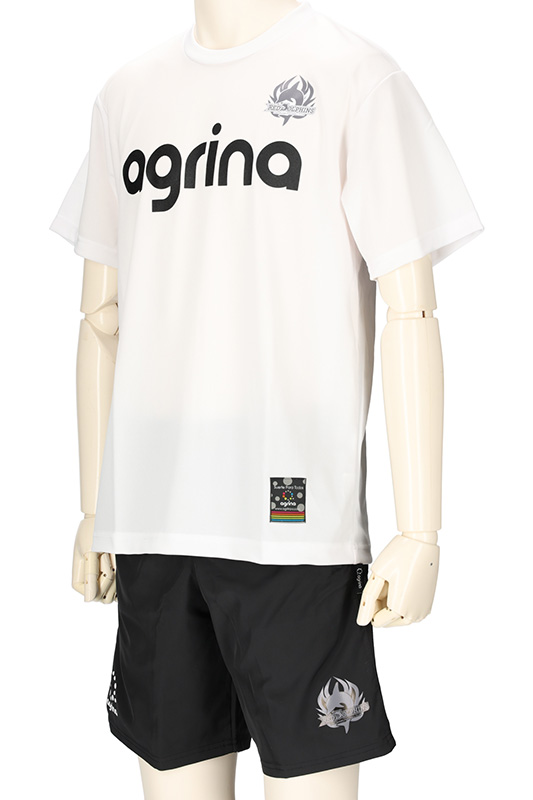 アグリナ / agrina ag-0003 チームオーダー作製事例１