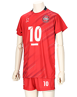 agrina（アグリナ）セミオーダー昇華 バレーボールユニフォーム